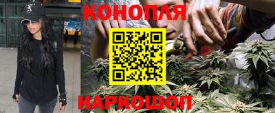альфа пвп Аргун