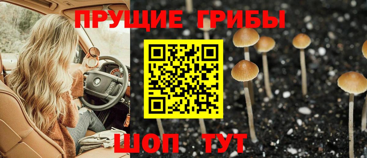 Псилоцибиновые грибы MAGIC MUSHROOMS Воскресенск